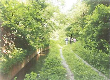 「芋川用水の歴史」里山の景観が時を刻む