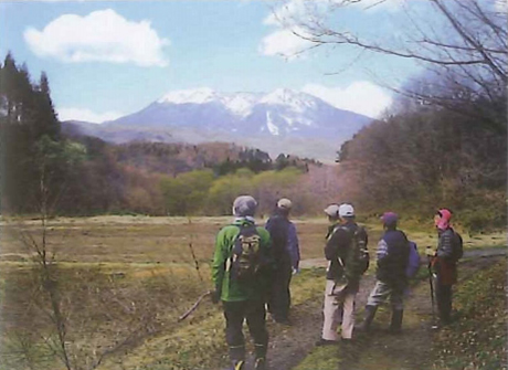 「三登林道を歩く」カタクリの咲く里山の道